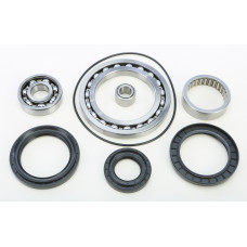 REAR DIFFERENTIAL BEARING AND SEAL KIT