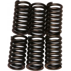 CLUTCH SPRINGS CSK41