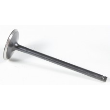 BLACK DIAMOND INTAKE VALVE