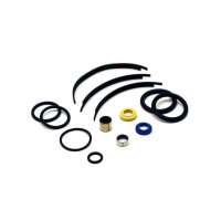 HYBRID SHOCK REBUILD KIT WALKER EVANS WITH 1/2