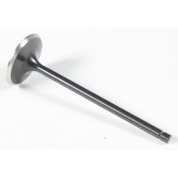 BLACK DIAMOND INTAKE VALVE