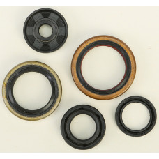 OIL SEAL SET