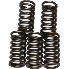 CLUTCH SPRINGS CSK65
