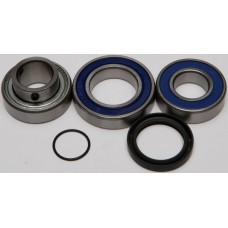 CHAIN CASE BEARING & SEAL KIT