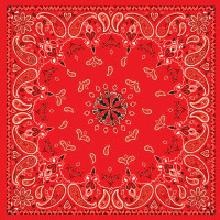 BANDANNA RED PAISLEY