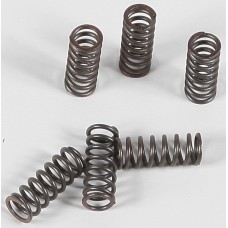 CLUTCH SPRINGS CSK39