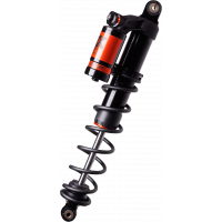 S/D RENEGADE SKI KIT