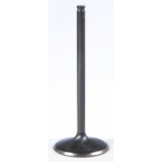 BLACK DIAMOND INTAKE VALVE BLACK DIAMOND INTAKE VALVE