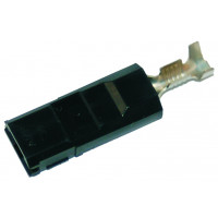 AMP .25