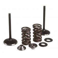 INTAKE VALVE/SPRING KIT STAINLESS STEEL YAM INTAKE VALVE/SPRING KIT STAINLESS STEEL YAM