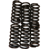 CLUTCH SPRINGS CSK6