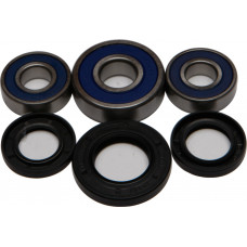 REAR WHEEL BEARING/SEAL KIT