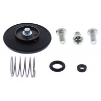 ACCEL. PUMP REBUILD KIT