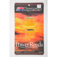 MOTORCYCLE REEDS