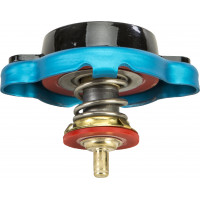 RADIATOR CAP W/ TEMPERATURE GAUGE - KTM/HUSQVARNA
