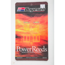 MOTORCYCLE REEDS