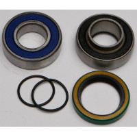 CHAIN CASE BEARING & SEAL KIT