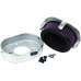 MINI ED AIR CLEANER POLISHED