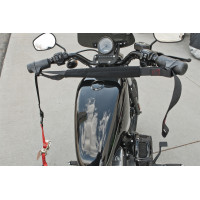 BAR HARNESS II BLACK STANDARD