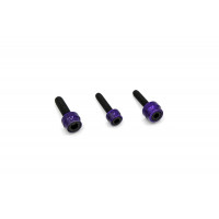 CHACHO'S BOLT KIT PURPLE M8 ENG TRANS PRIM BLK