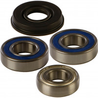 CHAIN CASE BEARING & SEAL KIT