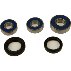 WHEEL BEARING & SEAL KIT