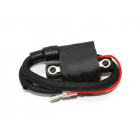 ATV IGNITION COIL