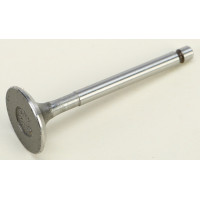 EXHAUST VALVE