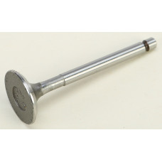 EXHAUST VALVE