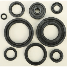 OIL SEAL SET