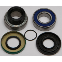 CHAIN CASE BEARING & SEAL KIT