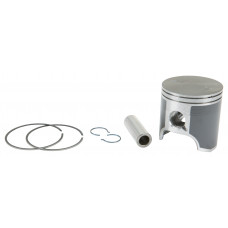 PISTON T-MOLY DOUBLE RING S-D