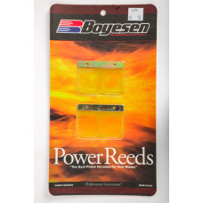 MOTORCYCLE REEDS