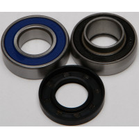 CHAIN CASE BEARING & SEAL KIT