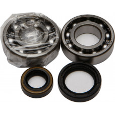 CRANKSHAFT BEARING/SEAL KIT