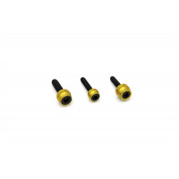 CHACHO'S BOLT KIT GOLD M8 ENG TRANS PRIM BLK