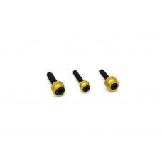 CHACHO'S BOLT KIT GOLD M8 ENG TRANS PRIM BLK