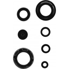 ENGINE SEAL KIT