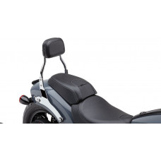 DETACH BACKREST MINI CHROME CHIEF 22-25