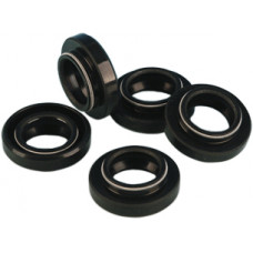 GASKET SEAL STARTER SHAFT FLT FXR SOFTAIL DYNA 5/PK 12053