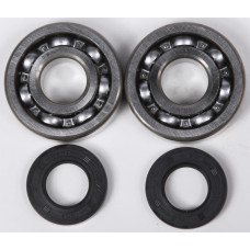 CRANKSHAFT BEARING & SEAL KIT KTM