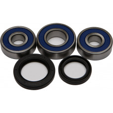 REAR WHEEL BEARING KIT