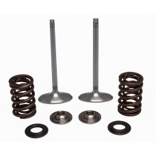 SS INTAKE VALVE/SPRING KIT