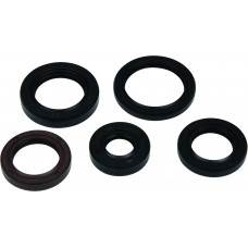 OIL SEAL KIT