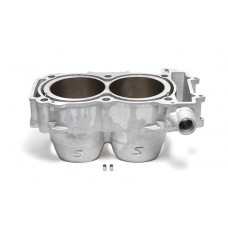 CYLINDER ONLY 93.00/STD POL