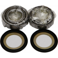 STEERING BEARING/SEAL KIT