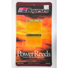 MOTORCYCLE REEDS