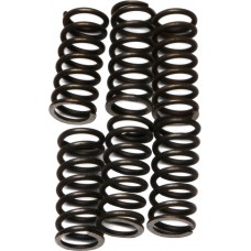 CLUTCH SPRINGS CSK46