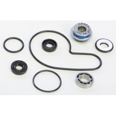 WATER PUMP KIT