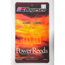 MOTORCYCLE REEDS